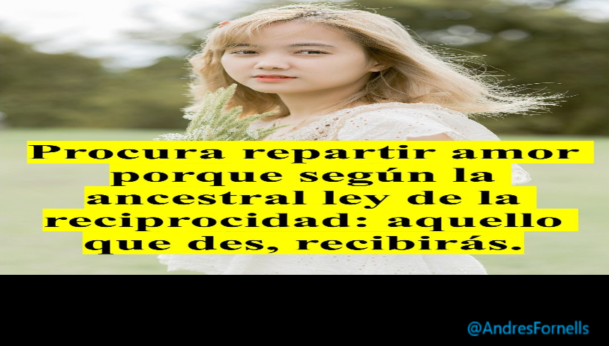 SOBRE REPARTIR AMOR (PÍLDORAS FILOSÓFICAS)