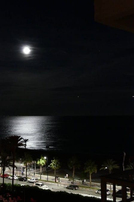SORPRESA EN UNA NOCHE DE LUNA LLENA (MICRORRELATO)