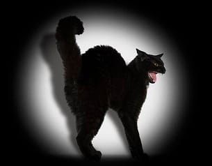 NO SOY SUPERSTICIOSO, AUNQUE LO PAREZCA (MICRORRELATO)