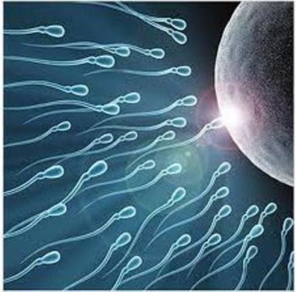 DATOS ASOMBROSOS DIFÍCILES DE PROBAR