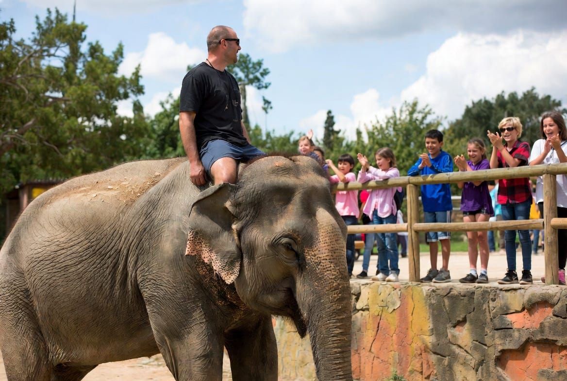 UN FUTURO PADRASTRO (MICRORRELATO)