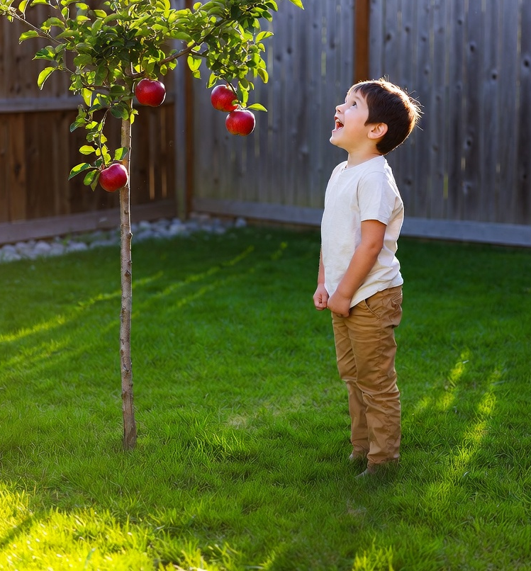 UN NIÑO PIDIÓ MANZANAS A UN MANZANO (MICRORRELATO)