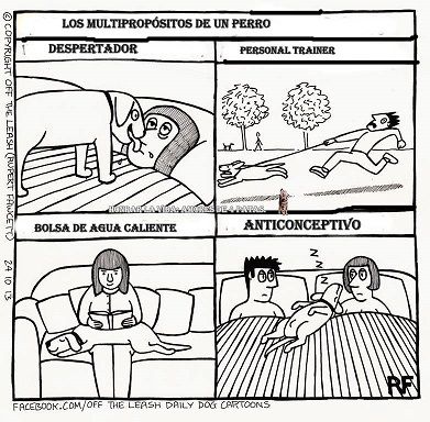 MULTIPROPÓSITOS DE UN PERRO Y EVOLUCIÓN DE LA FAMILIA (Minisucesos jocosos)