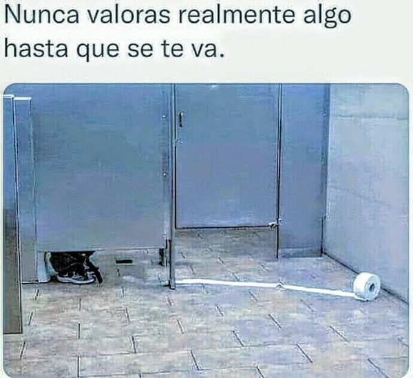 EL VALOR DE ALGUNAS COSAS (HUMOR)