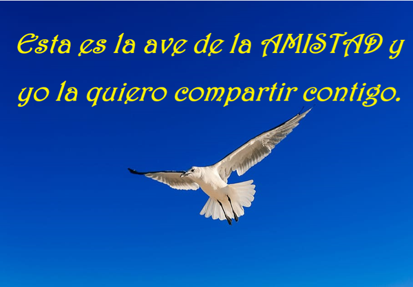 OFREZCO MI AMISTAD