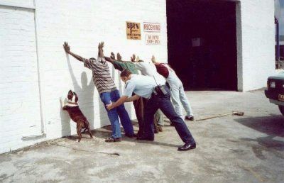 HASTA EL PERRO ERA SOSPECHOSO (HUMOR)
