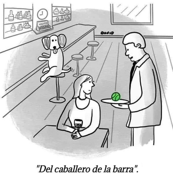 HUMOR