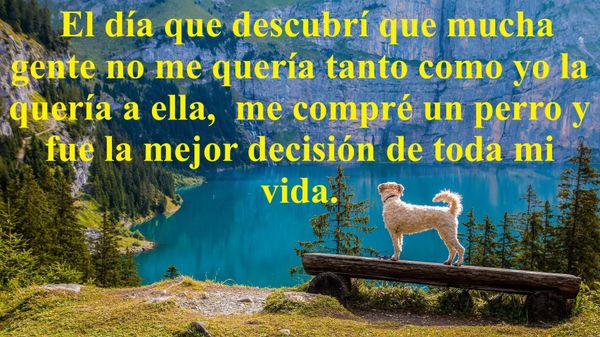 SOBRE LOS QUE LA GENTE DECEPCIONA (PÍLDORAS FILOSÓFICAS)