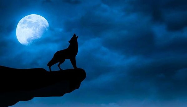 LOS QUE DEJARON DE CREER EN EL LOBO FEROZ (RELATO)