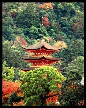 SUPERSTICIONES Y NÚMEROS DE BUENA Y MALA SUERTE EN LOS QUE CREEN LOS JAPONESES
