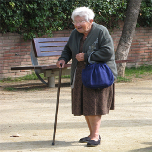 UNA ANCIANA DESPERTÓ MI CONCIENCIA DORMIDA (MICRORRELATO)