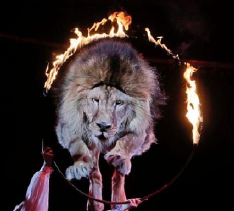 PASAR POR EL ARO (MICRORRELATO)