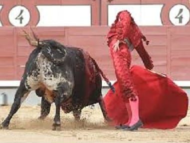 FIESTA DE LOS TOROS (RELATO)
