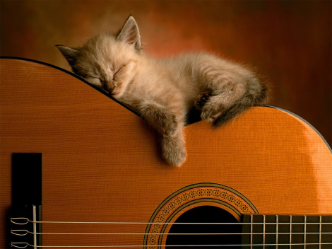 MI TÍO BLAS, UN HOMBRE INSIGNIFICANTE (RELATO)