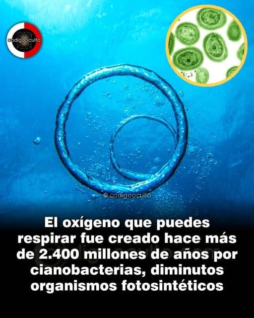 CODIGO OCULTO nos cuenta: