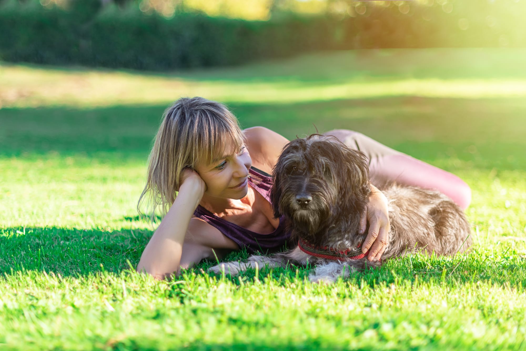 Berger des Pyrénées couché dans l’herbe avec une femme