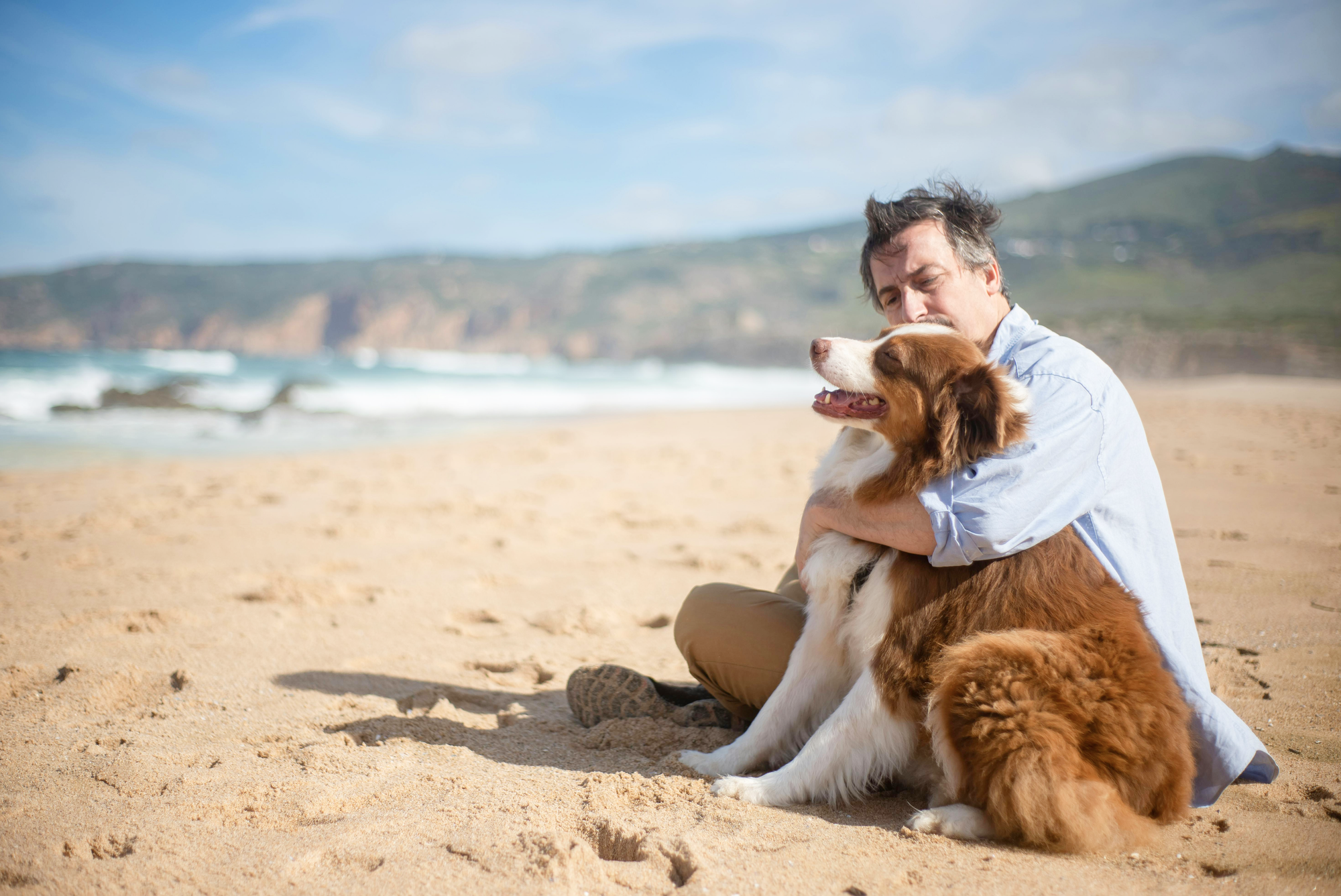 Un homme assis sur une plage enlace tendrement son Border Collie roux et blanc