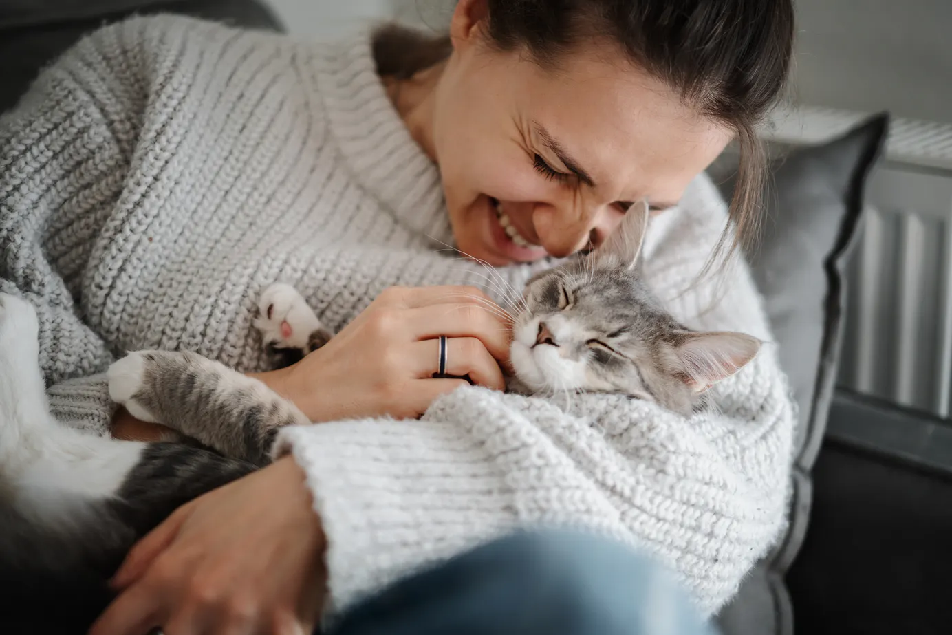 Une propriétaire en pull gris fait un câlin à son chat gris et blanc dans son appartement.