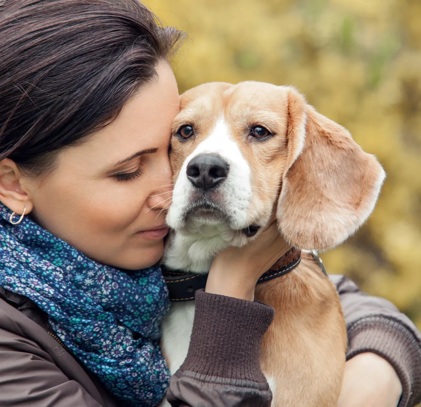 Une propriétaire enlace son chien marron et blanc.