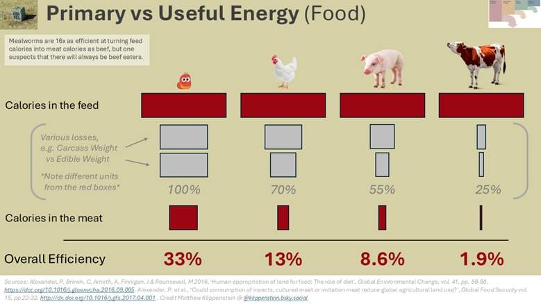 A diagram of food and animals
AI-generated content may be incorrect.