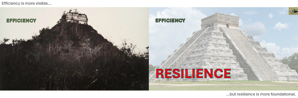 Energy R&D: Resilience and Diversity