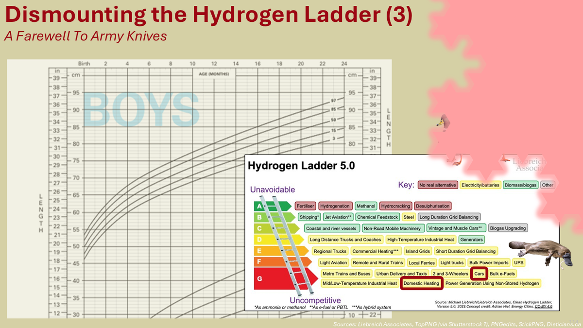 The image from Part 2 is shown (a hydrogen ladder, with ducks and a platypus atop it, in front of a growth chart for baby boys). The reddish shadow of a shape looms over part of the image.