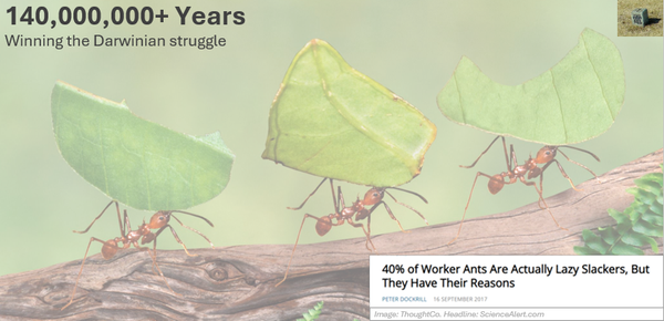 Chasing Efficiency is Fighting Darwin [1.2]