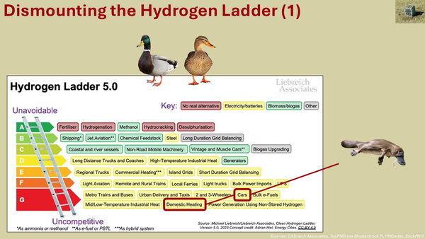 The Hydrogen Ladder, a platypus connected to "cars" and "domestic heating", and two ducks