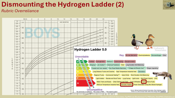 Dismounting the Hydrogen Ladder 2: Rubric Overreliance