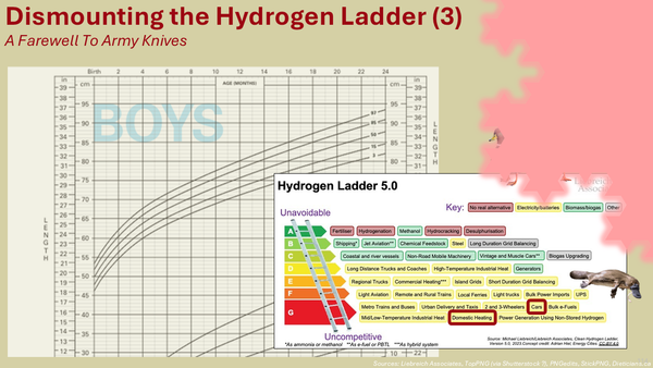 The image from Part 2 is shown (a hydrogen ladder, with ducks and a platypus atop it, in front of a growth chart for baby boys). The reddish shadow of a shape looms over part of the image.
