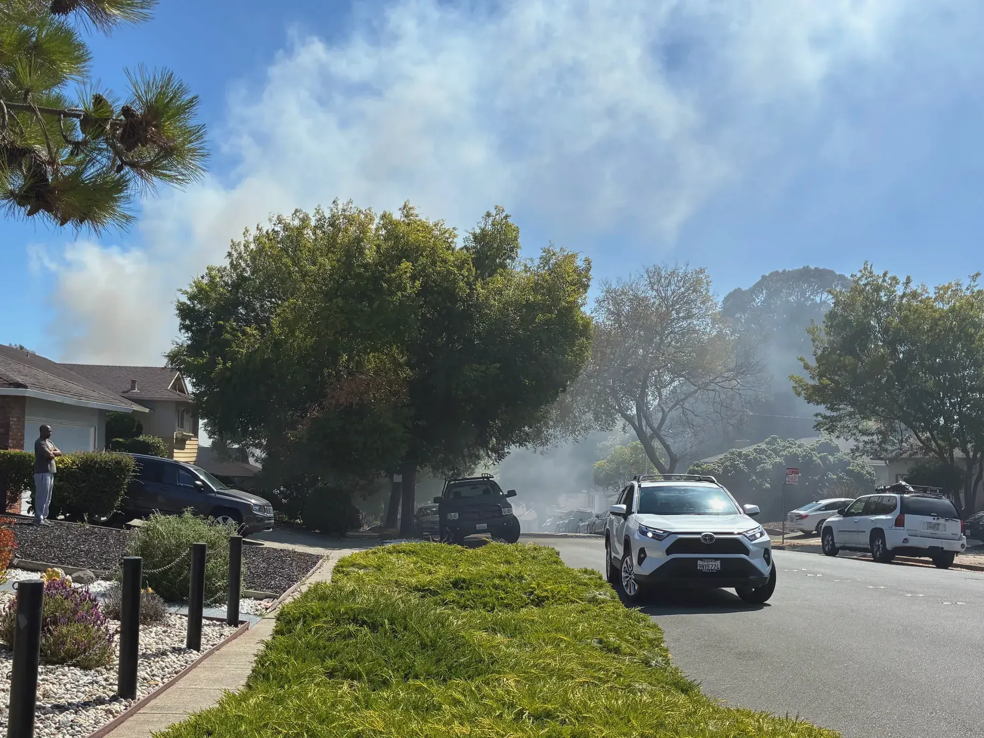 Shane Drive fire