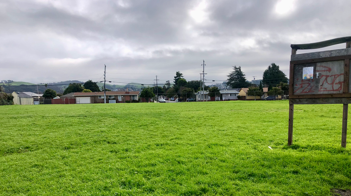 Soccer fields, bike lanes, land disposition policy on the council agenda tonight