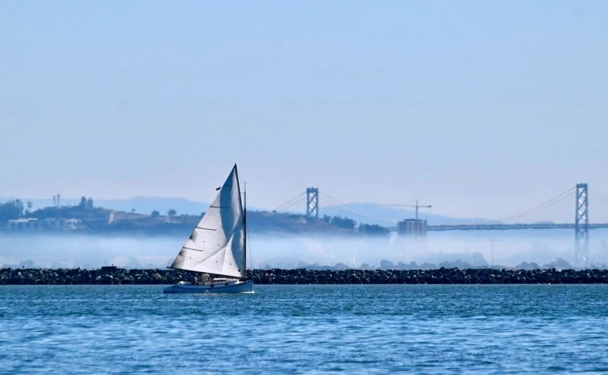 Sailing lessons, roller disco, bird watching, it's all in this week's calendar