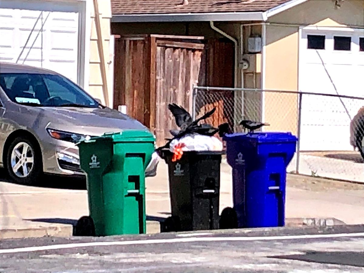 Trash company announces tentative agreement to end garbage strike