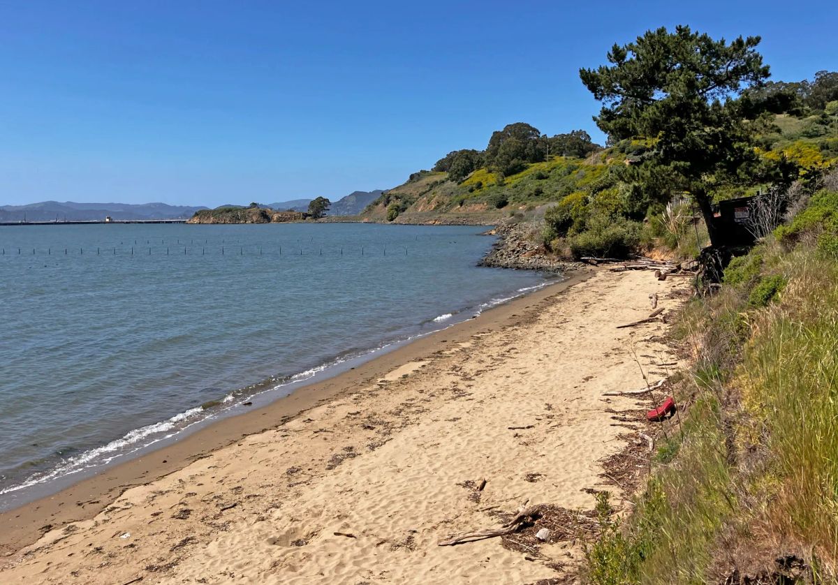Point Molate Bay Trail funding vote delayed after council agenda shift