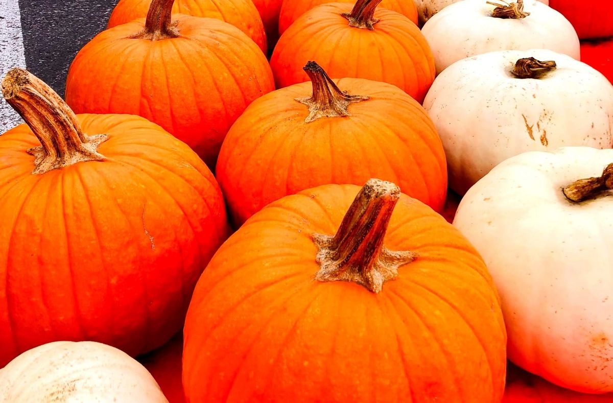 Eight Great Things to do in Richmond