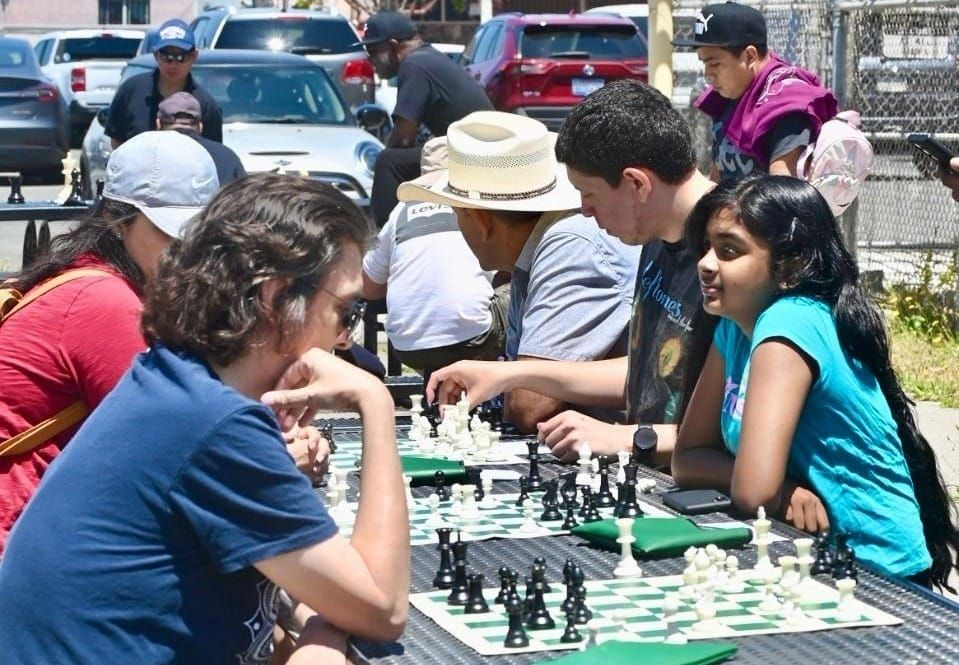 Family Chess Day is fun under the sun in Nicholl Park