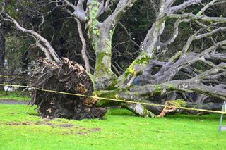 Storm's effects limited in Richmond