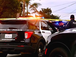 Richmond police report November crime spike, cite year-to-date decline