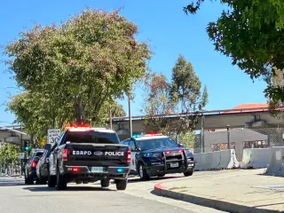 What happened in Richmond: Attempted homicide, armed robberies and 11 stolen cars