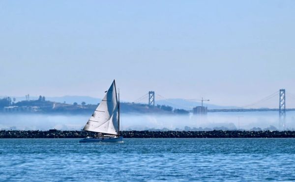 Sailing lessons, roller disco, bird watching, it's all in this week's calendar