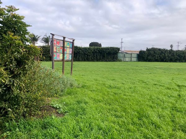 On the agenda: CPRC probe, fee hikes, and park upgrades