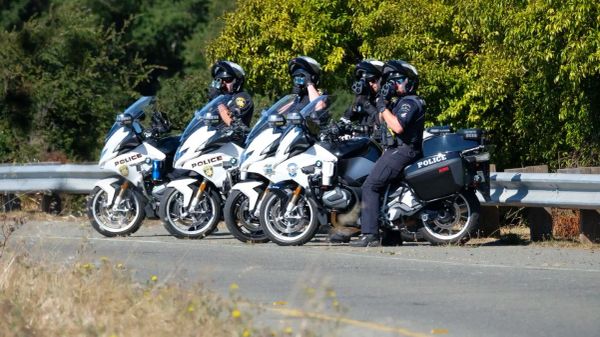 A week of thefts, violence, and unusual crimes across the city