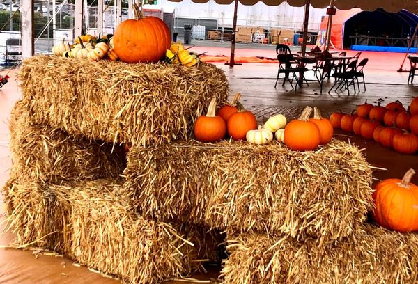 Eight Great Things to do in Richmond