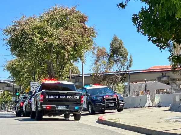 What happened in Richmond: Attempted homicide, armed robberies and 11 stolen cars