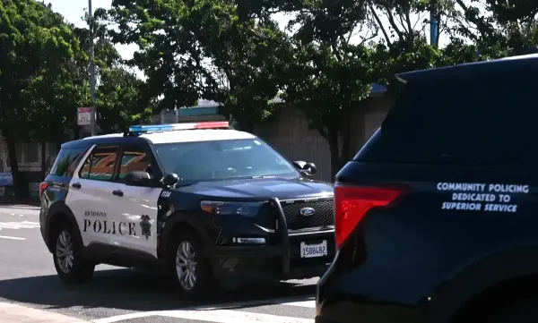 What happened in Richmond: 11 stolen cars, robbery and firearm arrest
