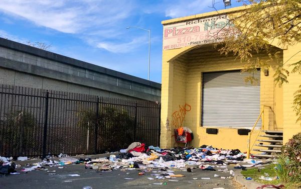On the agenda: an interim city manager, more police cameras, and 168 tons of trash