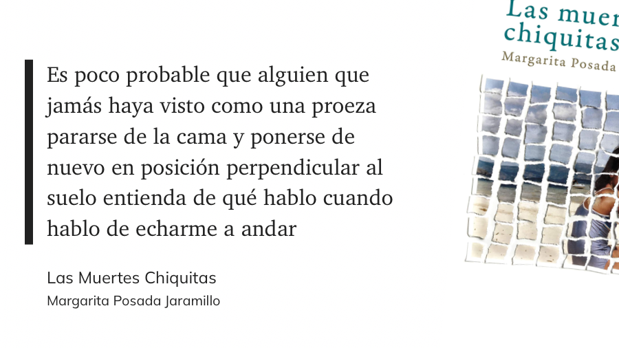 cita del libro: “Es poco probable que alguien que jamás haya visto como una proeza pararse de la cama y ponerse de nuevo en posición perpendicular al suelo entienda de qué hablo cuando hablo de echarme a andar”