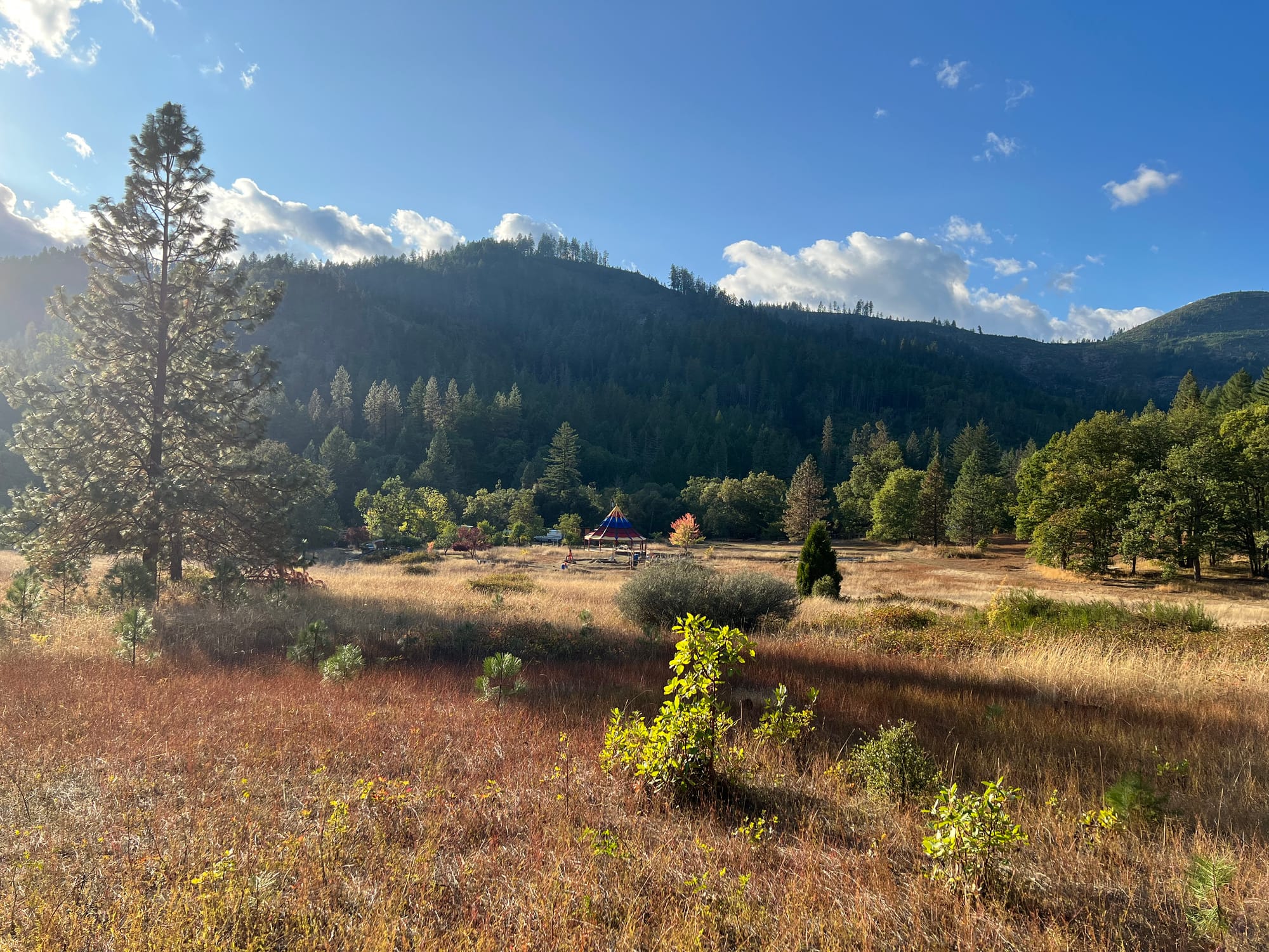 Sunshine and blue sky over a big field with mountains in the background covered with trees. There’s a rainbow-colored circus tent in the middle of the picture, looking small in the background. Barely visible behind it and some scattered trees is a light grey RV.