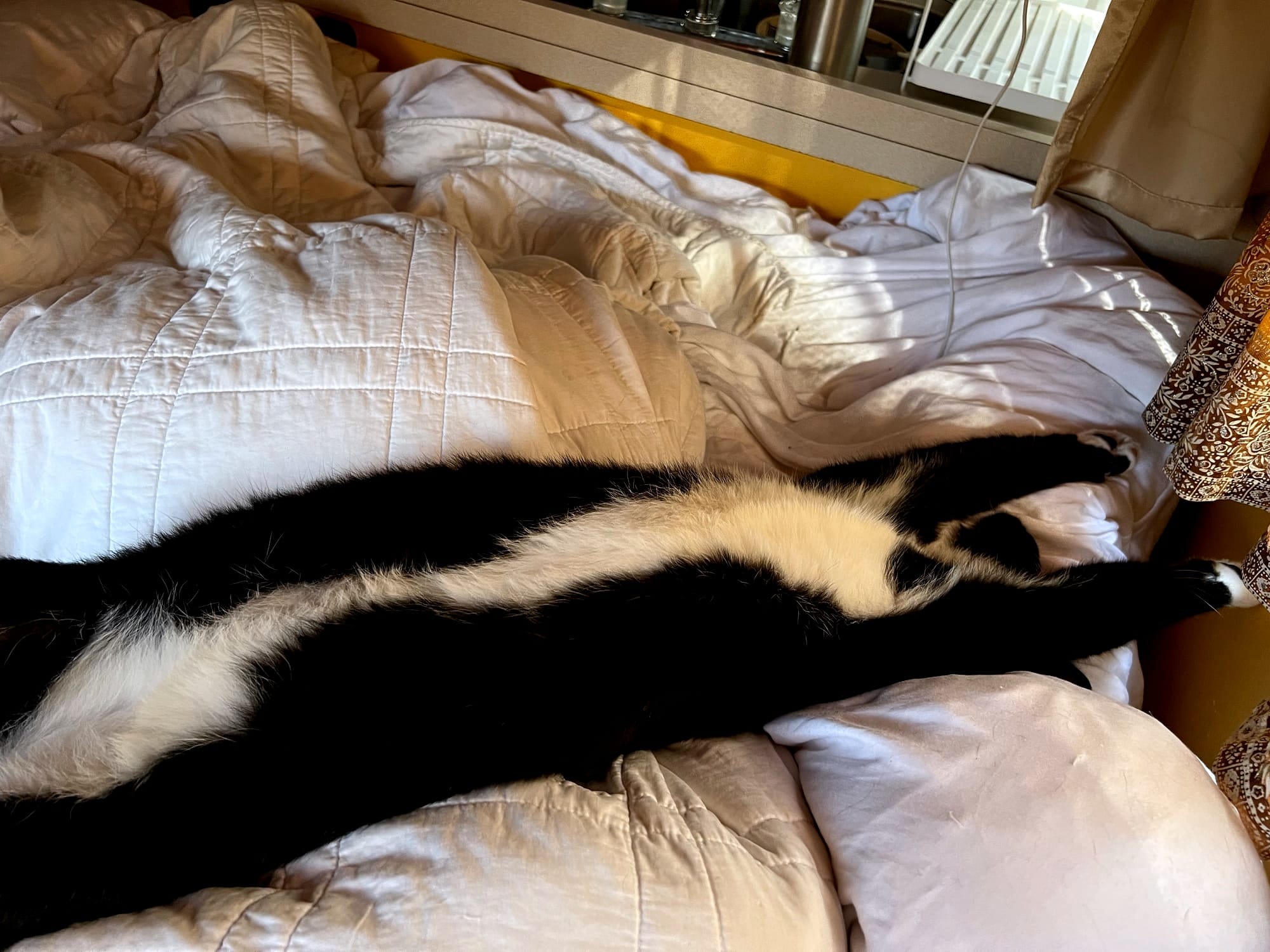 The cat stretched out on its back again, on a white blanket, chest and stomach exposed.